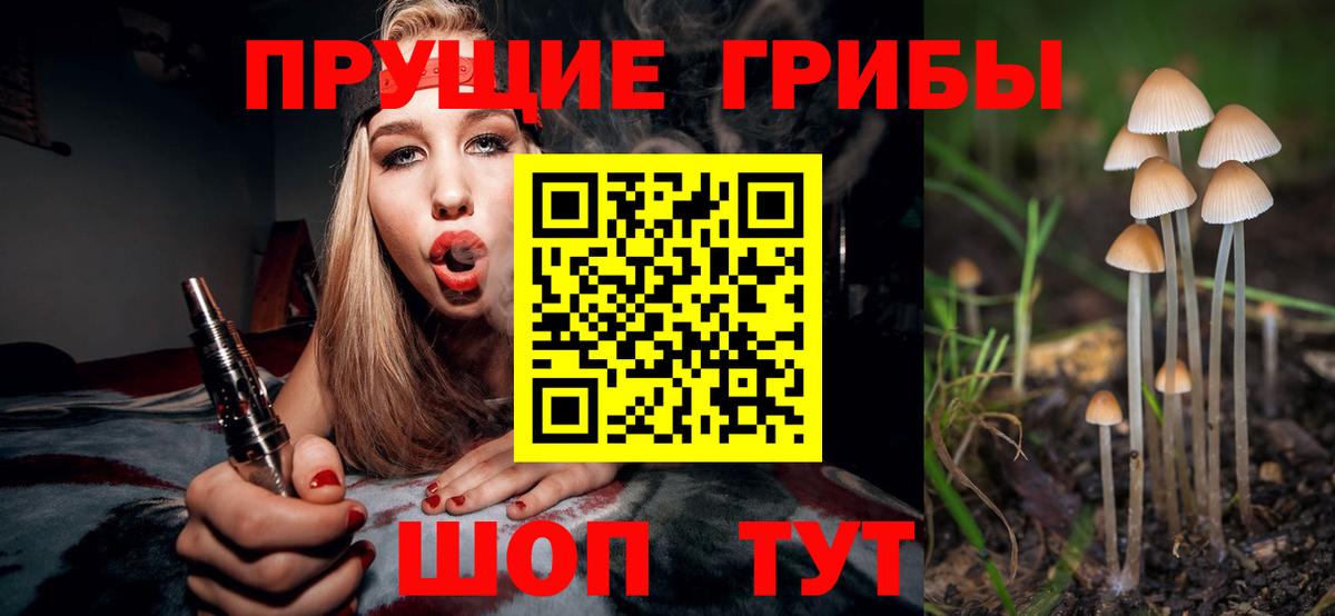 Галлюциногенные грибы Cubensis  Вход с VPN  Новороссийск  наркота  Галлюциногенные грибы Cubensis 