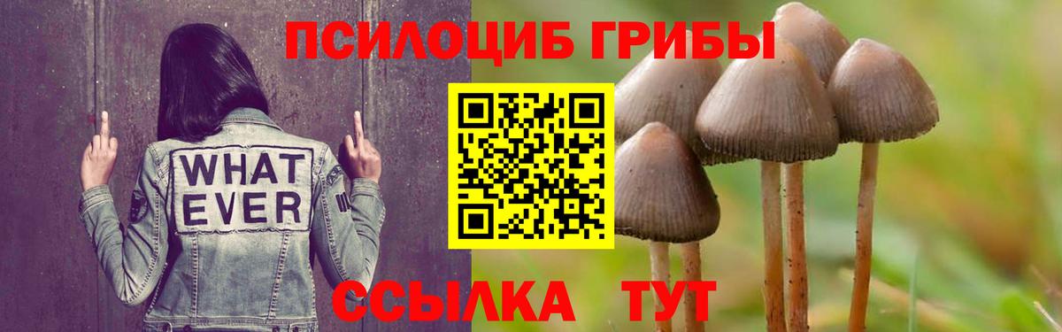 Псилоцибиновые грибы MAGIC MUSHROOMS Новороссийск
